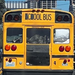 Meet your Posher, Paula